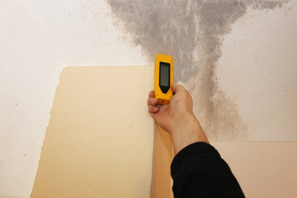 Dehumidification Services in Ackley, IA
