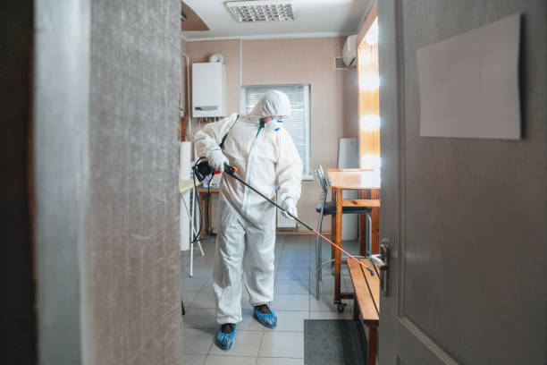 Best Post-Remediation Verification Testing  in Ackley, IA