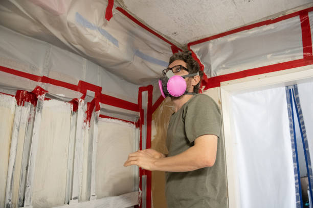 Best Black Mold Removal  in Ackley, IA