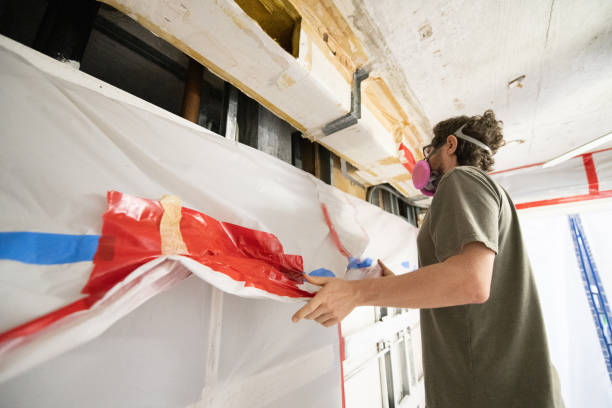 Best Real Estate Mold Inspection  in Ackley, IA