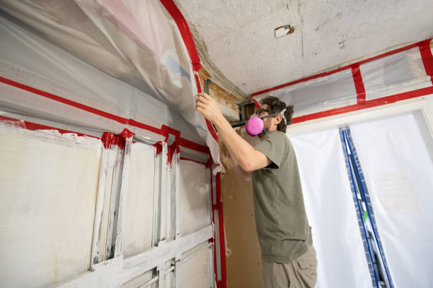 Best Post-Remediation Verification Testing  in Ackley, IA