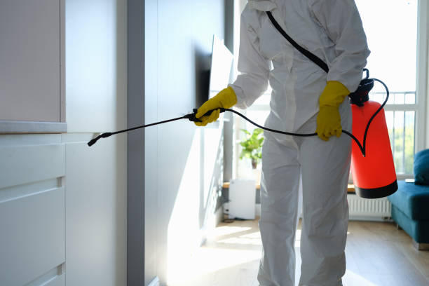 Best Mold Odor Removal Services  in Ackley, IA