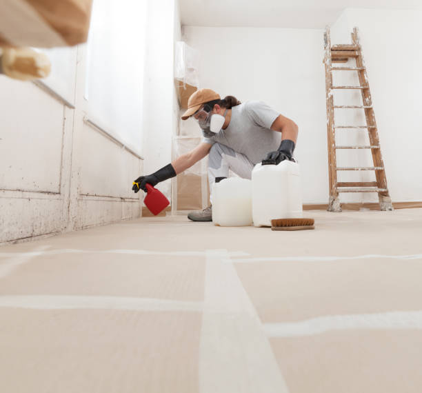 Best Water Damage & Mold Remediation  in Ackley, IA