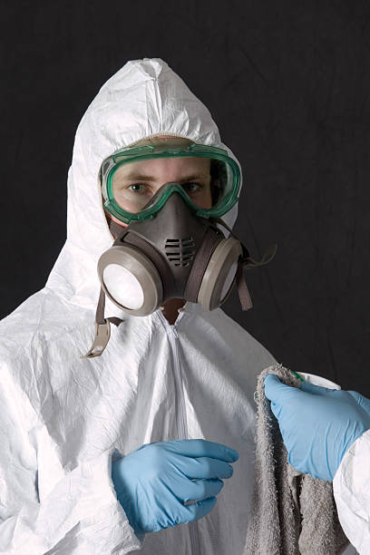 Best Attic Mold Removal  in Ackley, IA